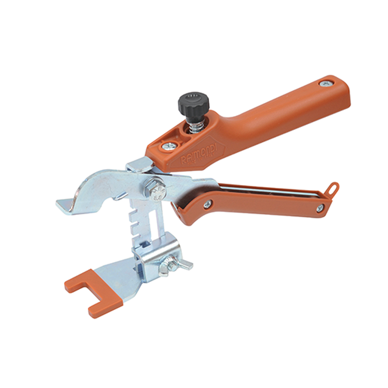 Raimondi 231 NRIV