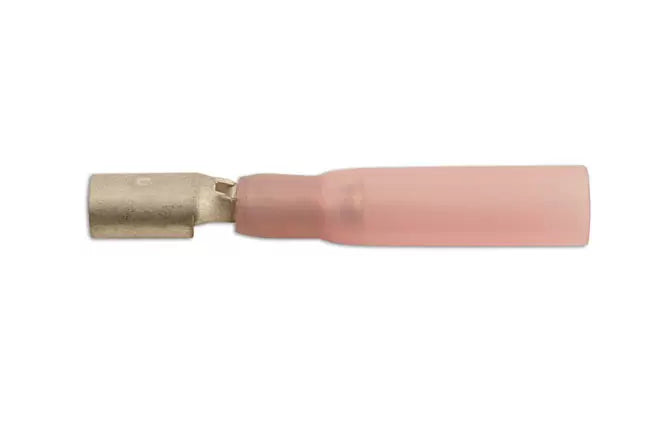 Female Bullet Terminal