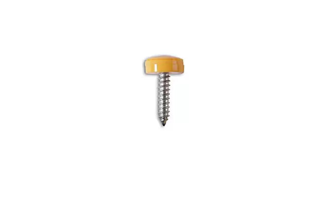Self Tapping Screw Yellow