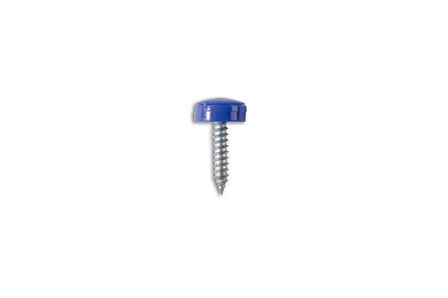 Self Tapping Screw Blue