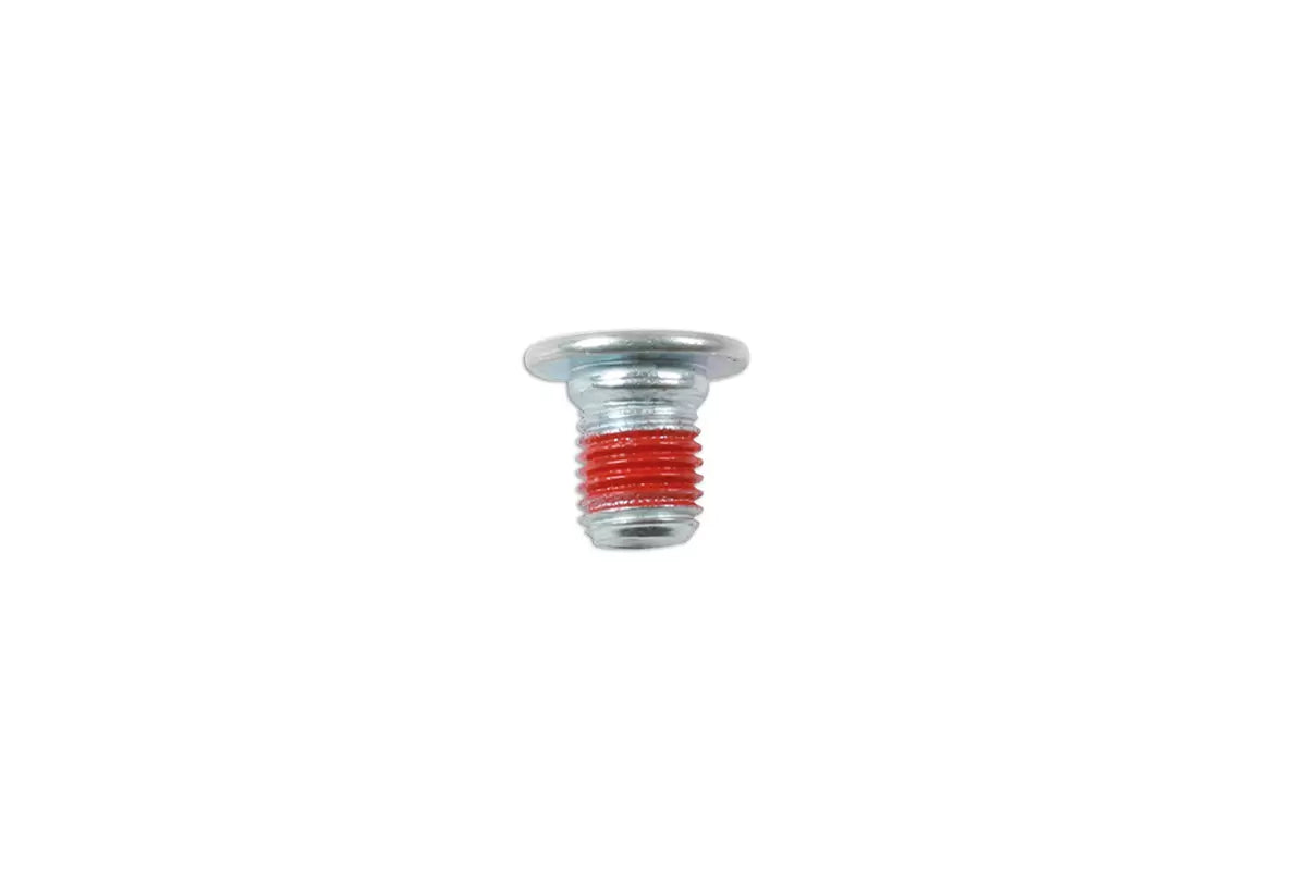 Brake Screw M8