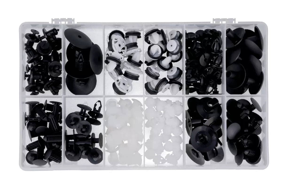 Connect - 35984 - Assorted Trim Clips to suit Renault Clio 195pc