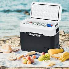 Costway 42 QT Cooler