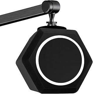 Bewinner Microphone Cases – Protective Storage for Video Mics, Transport Case