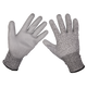 Worksafe® Anti-Cut PU Gloves (Cut Level C), Large - Pair [9139L]