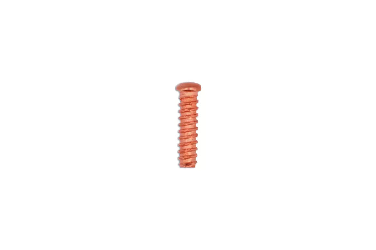Power-TEC 92616 Self Threaded Rivets 5 x 18mm 50pc