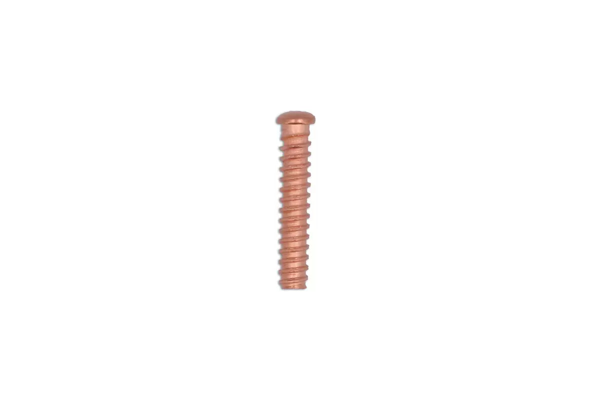 Power-TEC 92617 Self Threaded Rivets 5 x 25mm 50pc