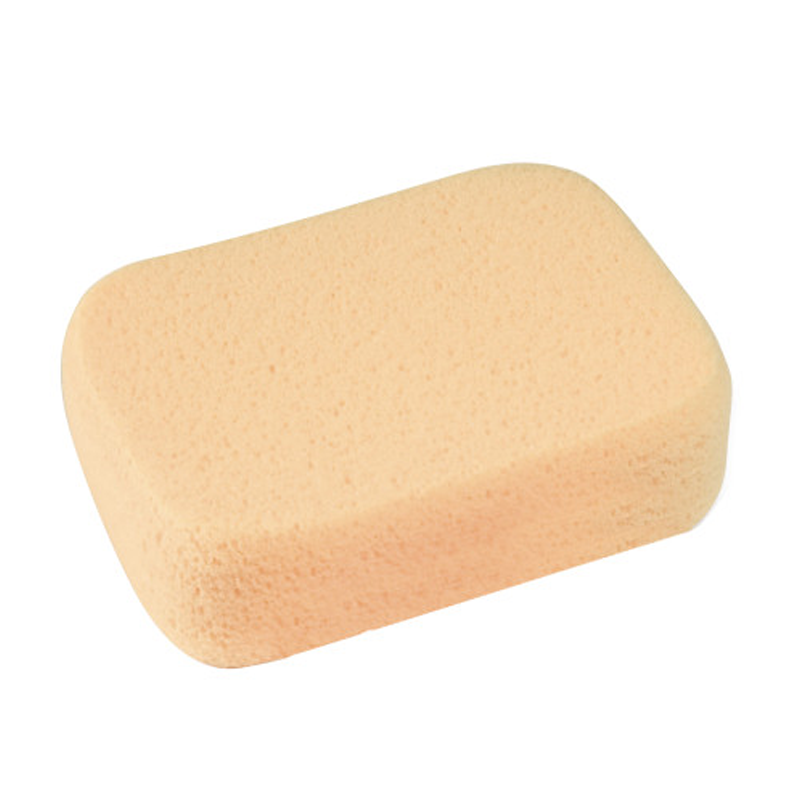 Genesis Hydro Sponge