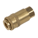 PCL Non-Corrodible Female Coupling 1/4 BSPT