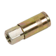 Coupling Body Female 1/4 BSP