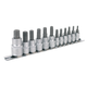 Premier TRX-Star Socket Bit Set 1/4, 3/8 & 1/2" 12pc