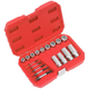 Premier Bolt, Stud & Screw Extractor Set 18pc [AK751]