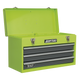 AmericanPROToolChestGreenGrey