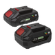 SV20 Battery 20V 2Ah & 4Ah Pack of 2 [BK24]