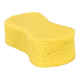 Large Sponge