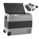 Dellonda Fridge 60L