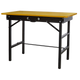 Portable Folding Workbench [FWB1000]