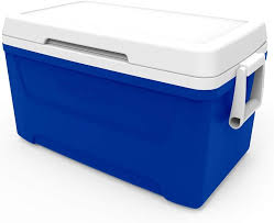 Igloo 48 QT + Ice Pack