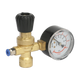 Disposable MIG Gas Regulator 1 Gauge [REG/MMG]