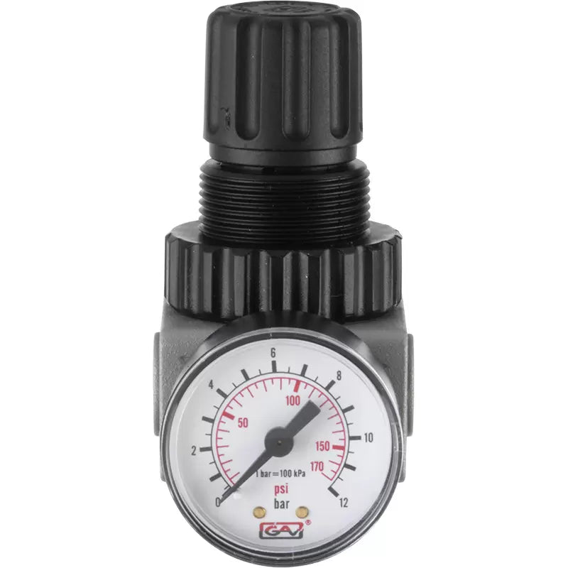 Air Treatment Regulator 0-145 psi 1/4 Ports