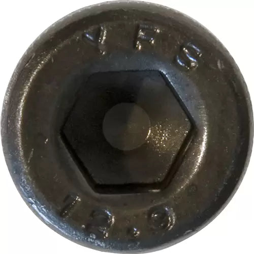 Workshop Warehouse HCH540 Socket Screws BLK Cap Head M5 x 40