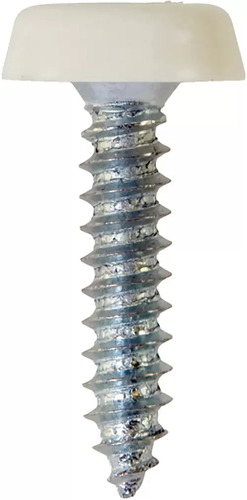Workshop Warehouse NP10 Number Plate Screws No.10 x 24mm White