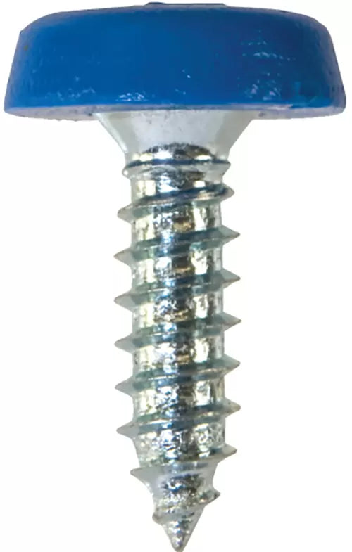 Workshop Warehouse NP20 Number Plate Screws No.10 x 18mm Blue