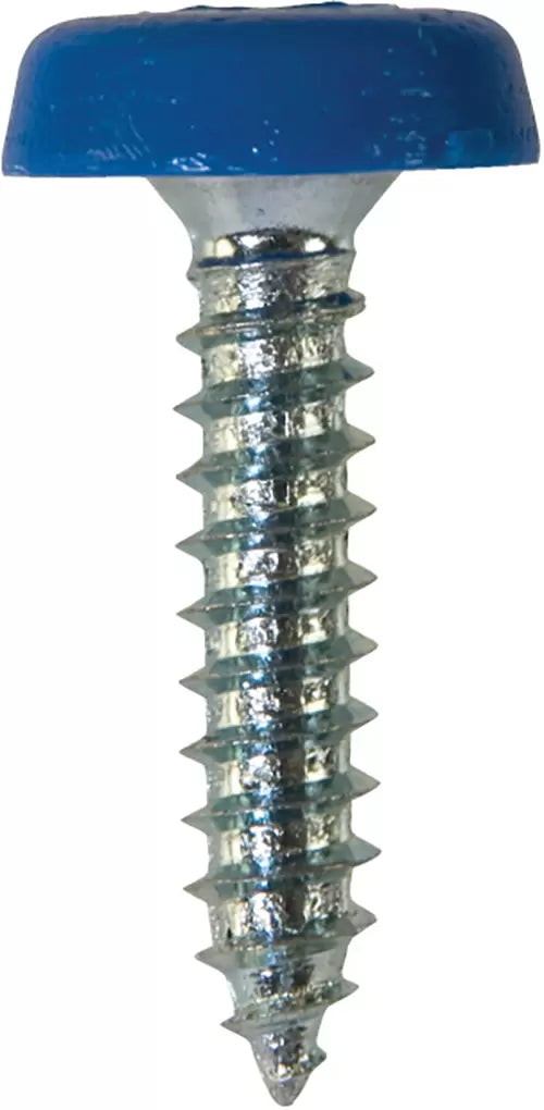 Workshop Warehouse NP21 Number Plate Screws No.10 x 24mm Blue