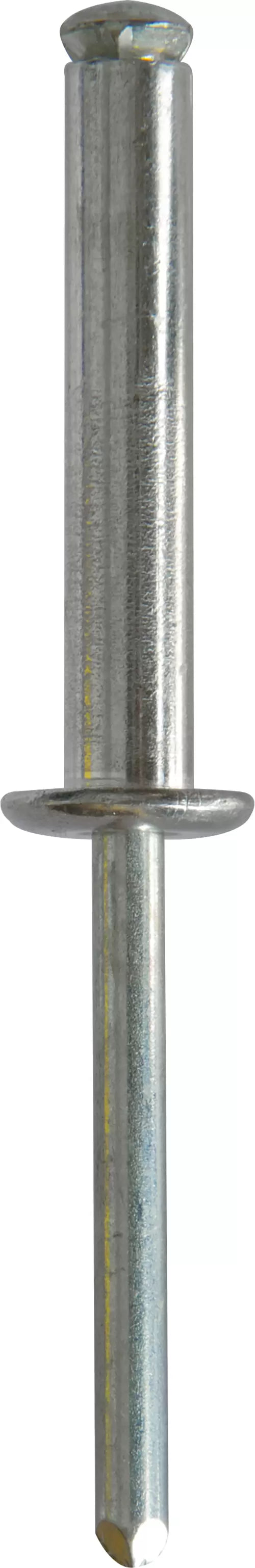 Workshop Warehouse PRL49 Rivets Peel Back 6.4 x 35mm (1/4 x 1 3/8)