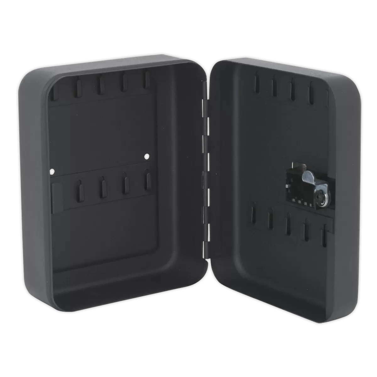 Sealey - SKC820 - Key Cabinet with Tumbler Lock 20 Key Capacity