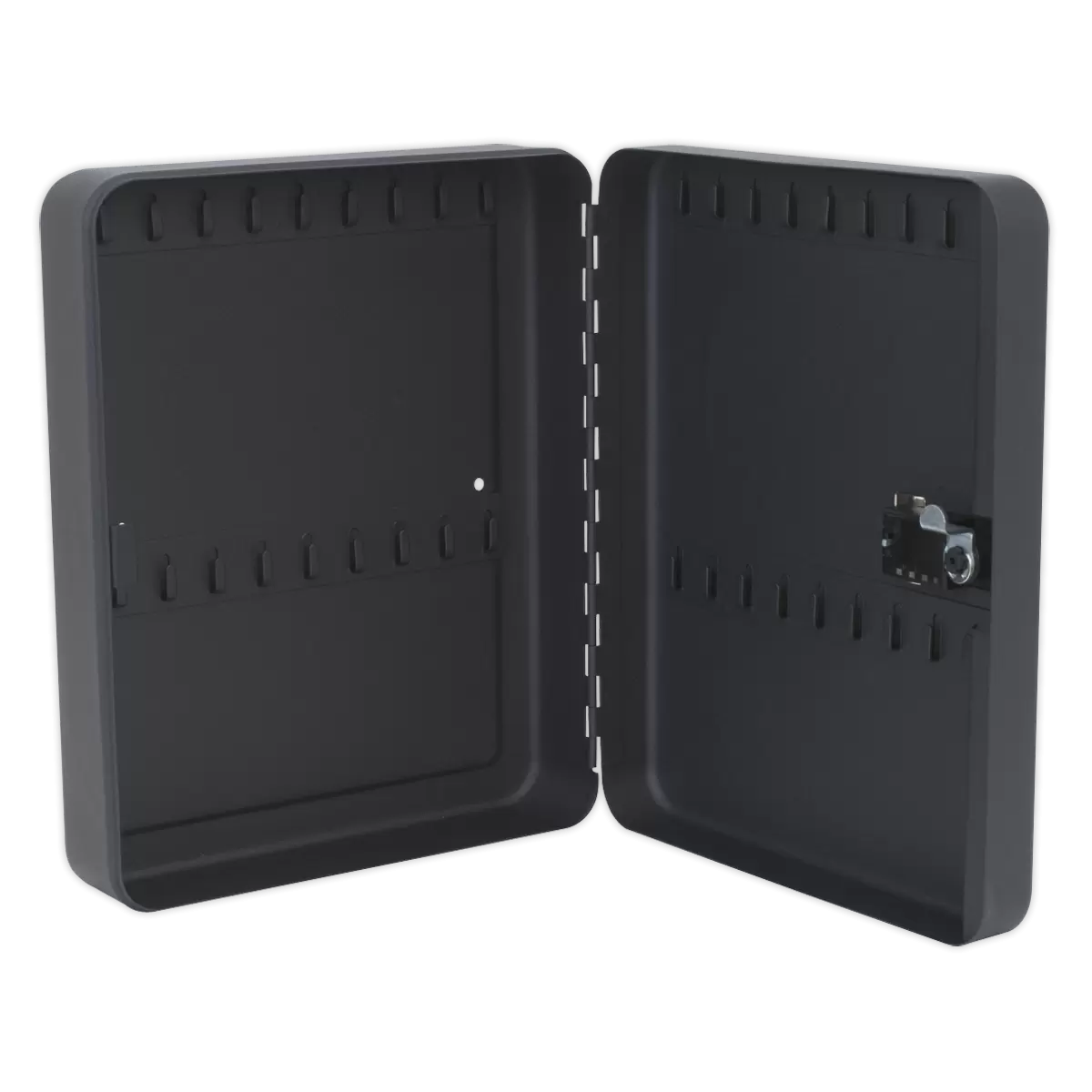 Sealey - SKC836 - Key Cabinet with Tumbler Lock 36 Key Capacity