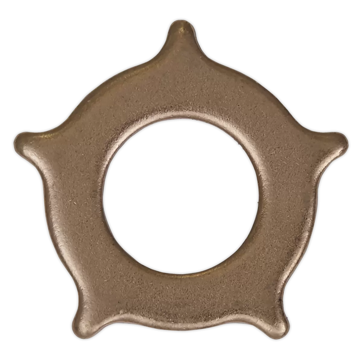 Sealey - SR2000.SW - Star Washer for SR2000 - Pack of 10