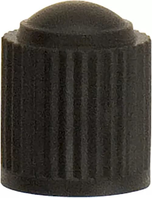 Workshop Warehouse TY120 Tyre Valve Caps Plastic