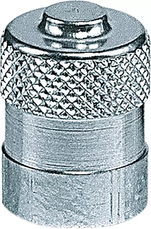Workshop Warehouse TY262 Tyre Valve Cap Chrome Long